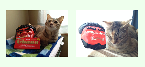 ねこ日記